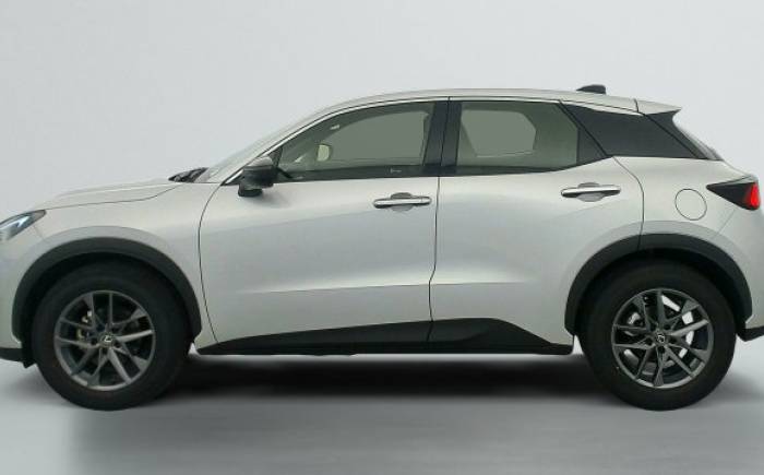 LEXUS LBX 2WD Business