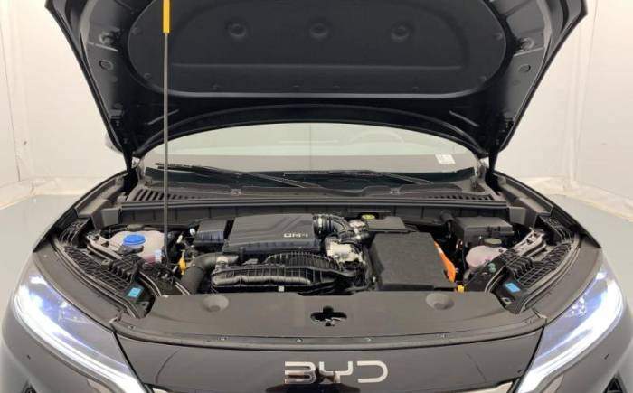 BYD Atto 2 phev 1.5 DM-I BOOST