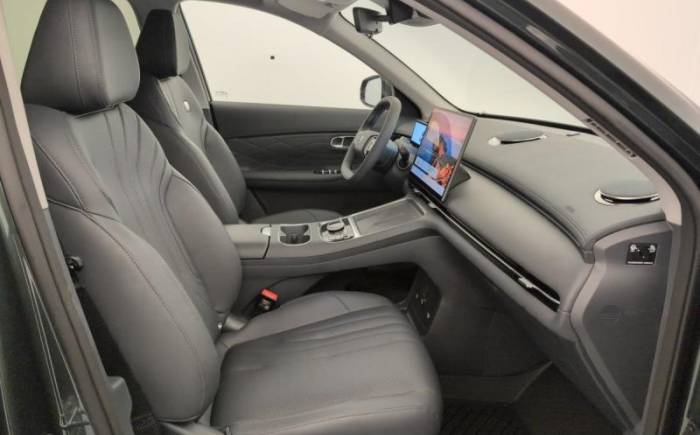 geely Starray EM-I PRO